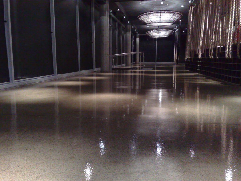 Polished concrete flooring at Ribs and Rumps, Homebush
